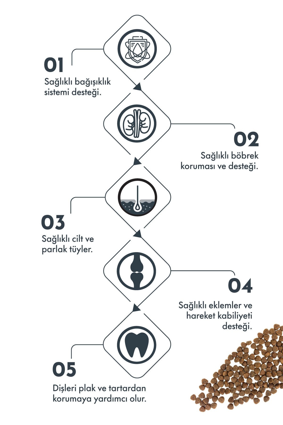 Pro Performance Somonlu ve Yaban Mersinli Küçük Irk Yetişkin Köpek Maması 7 Kg